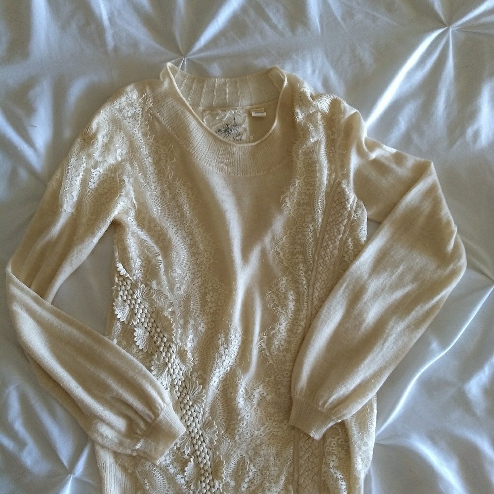 Anthropologie Angel of the North sweater